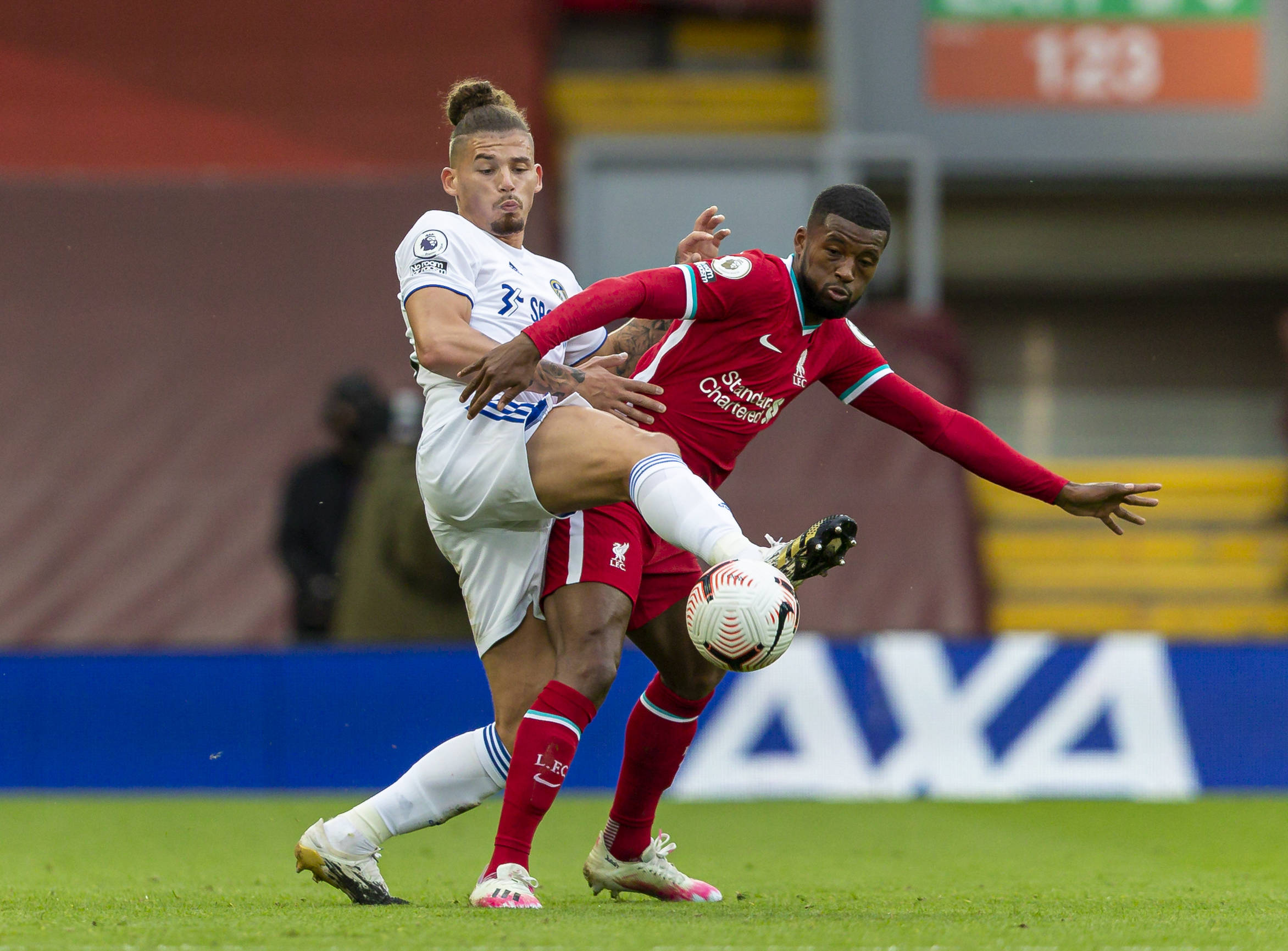 力和灵活的 力和灵活的