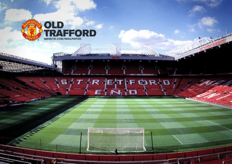 仅是身体条 仅是身体条